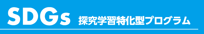 SDGs 探究学習特化型プログラム