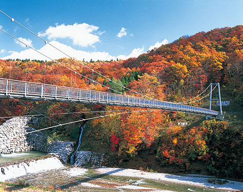 県南エリア