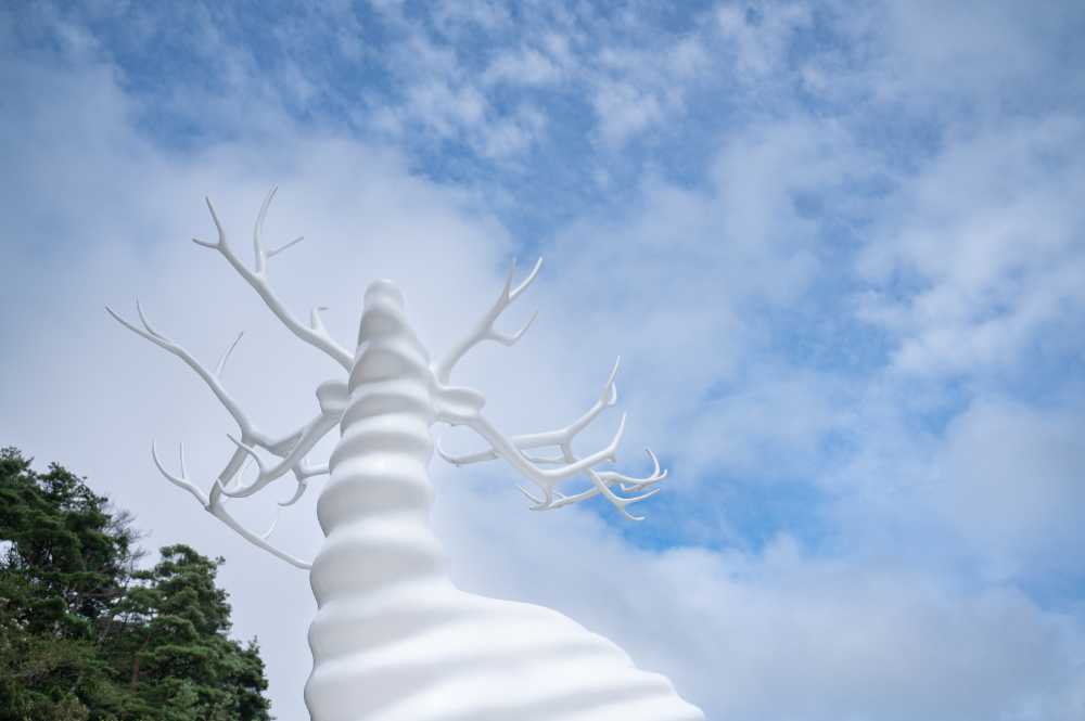 牡鹿半島で神秘的なアートWhite Deer (Oshika)に出会う旅