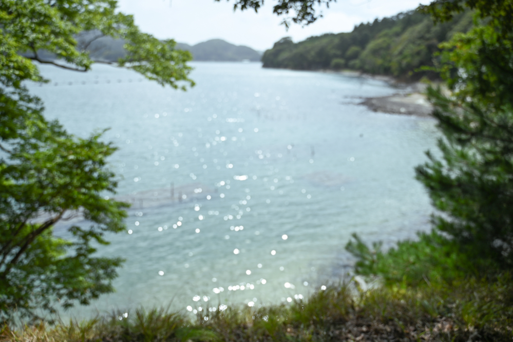 牡鹿半島で神秘的なアートWhite Deer (Oshika)に出会う旅 | 「タビスキ