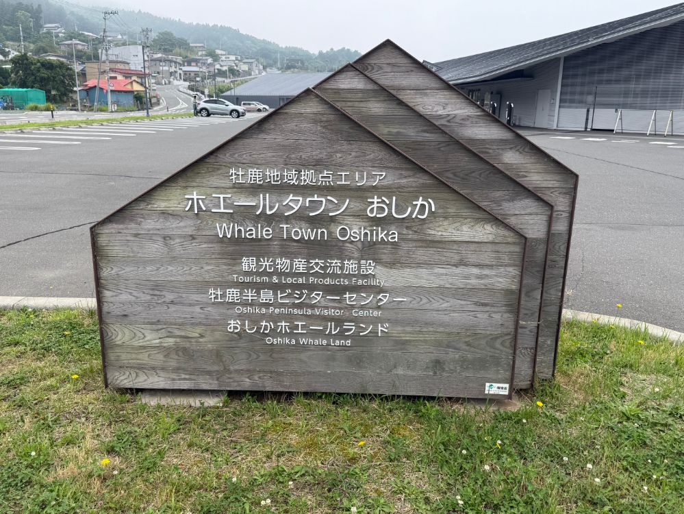 石巻・牡鹿で体感する鯨文化。巨大骨格標本とご当地クジラ料理を巡る旅