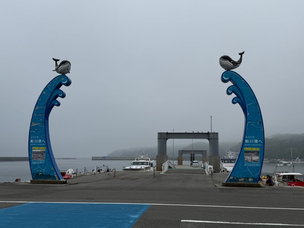 石巻・牡鹿で体感する鯨文化。巨大骨格標本とご当地クジラ料理を巡る旅
