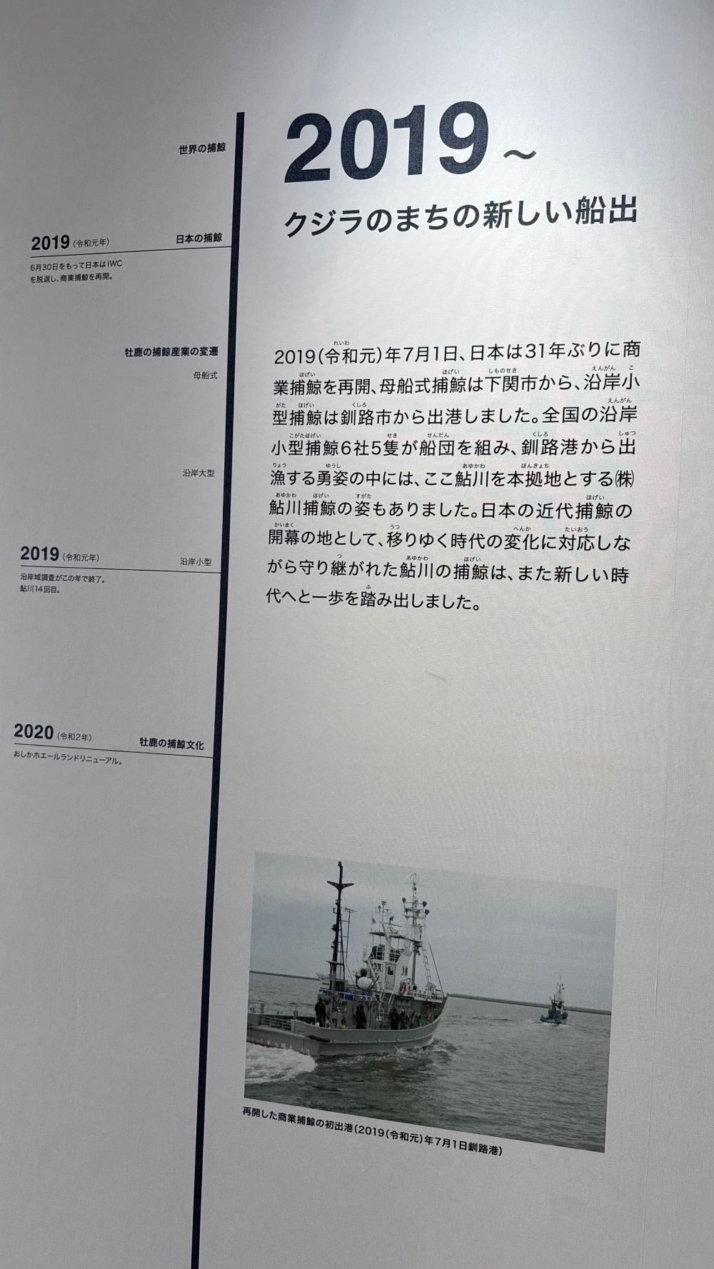 石巻・牡鹿で体感する鯨文化。巨大骨格標本とご当地クジラ料理を巡る旅