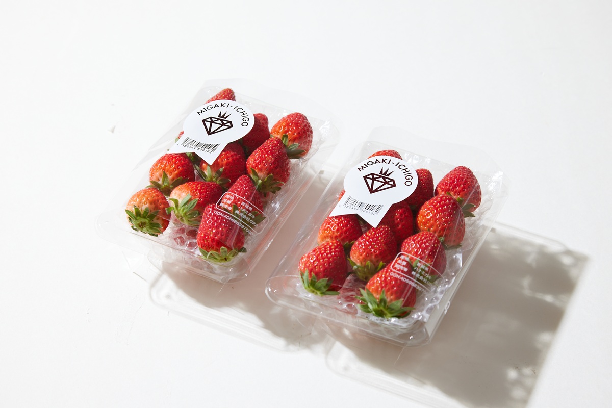 いちご特集 | 特集｜観光・旅行情報サイト 宮城まるごと探訪