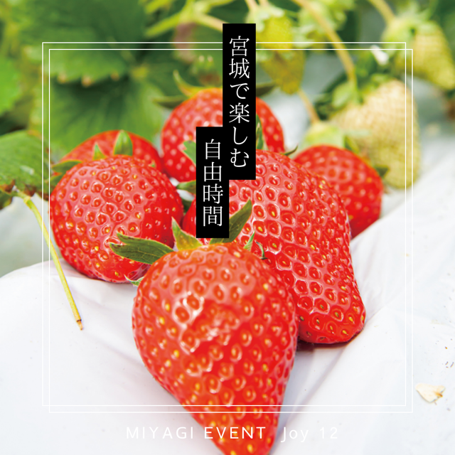 おすすめスポット