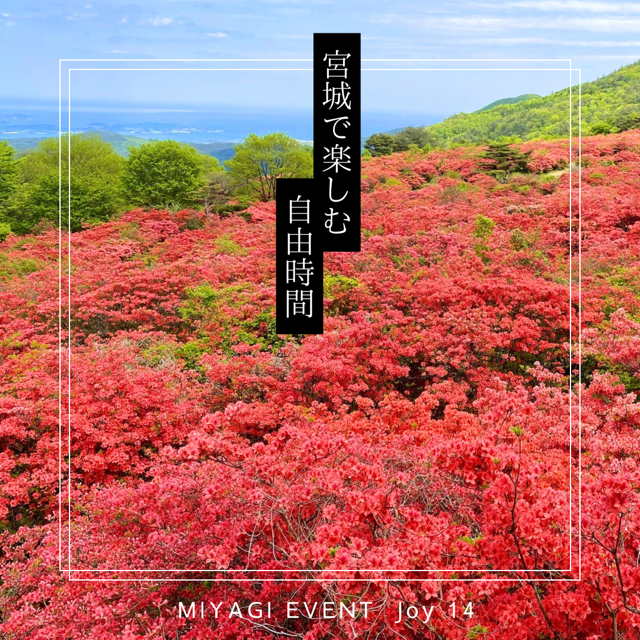 おすすめスポット