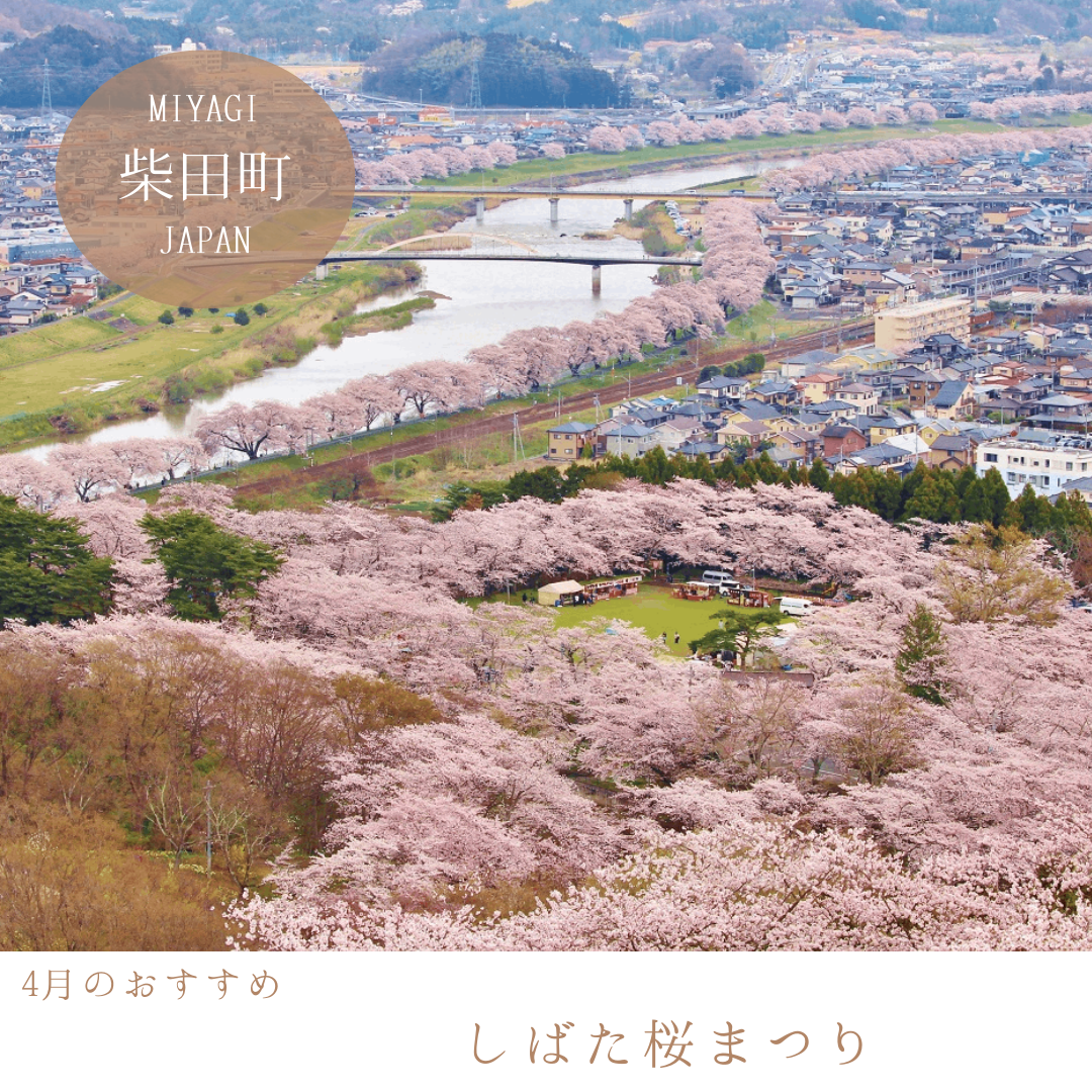 しばた桜まつり