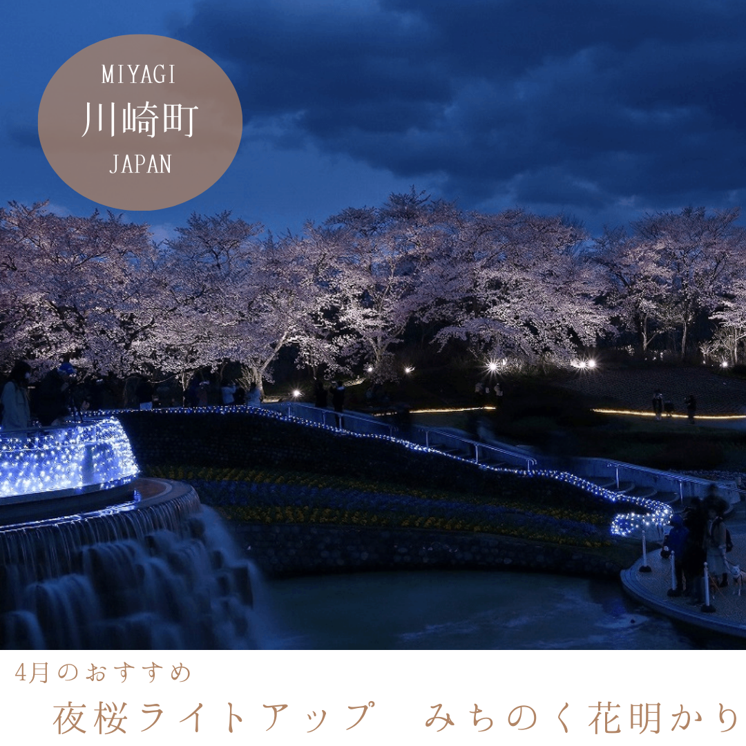国営みちのく杜の湖畔公園「夜桜ライトアップ　みちのく花明かり」