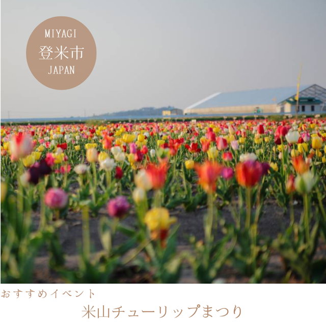 米山チューリップまつり