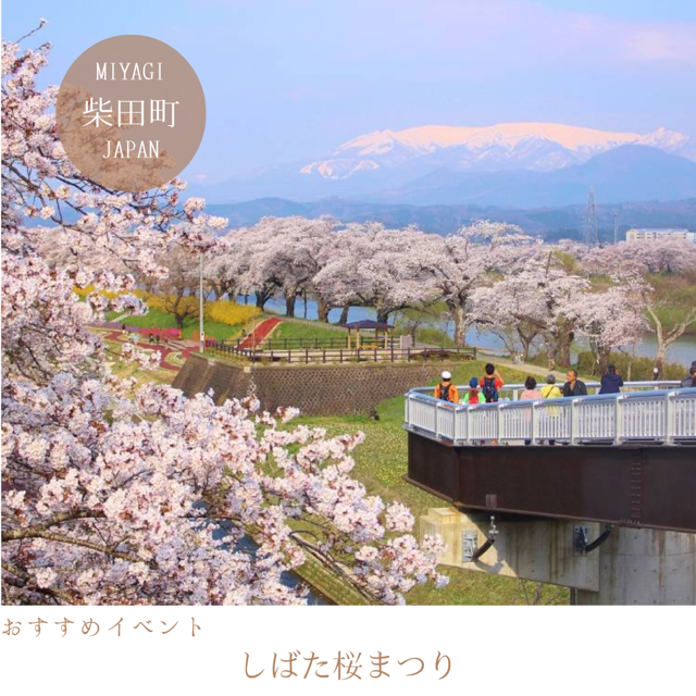 しばた桜まつり