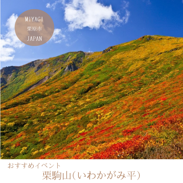 栗駒山（いわかがみ平）