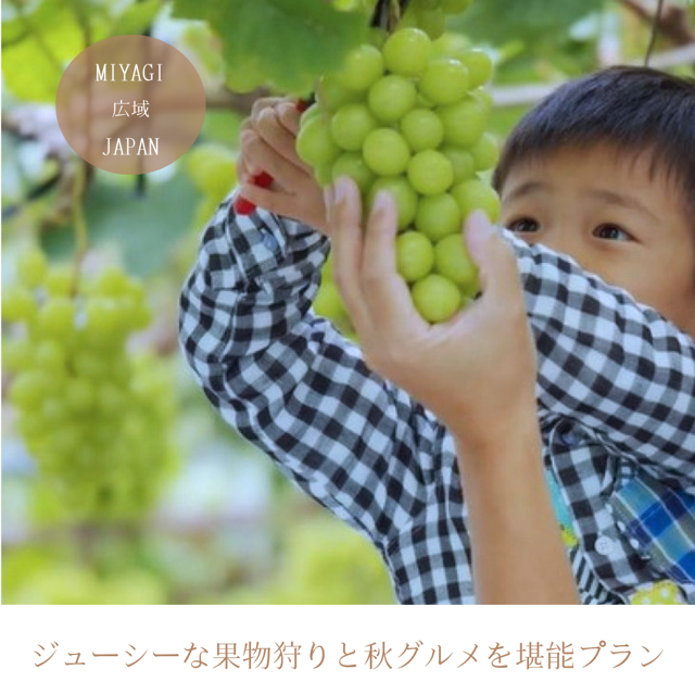 ジューシーな果物狩りと秋グルメを堪能プラン