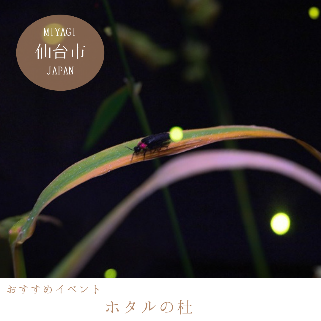 ホタルの杜