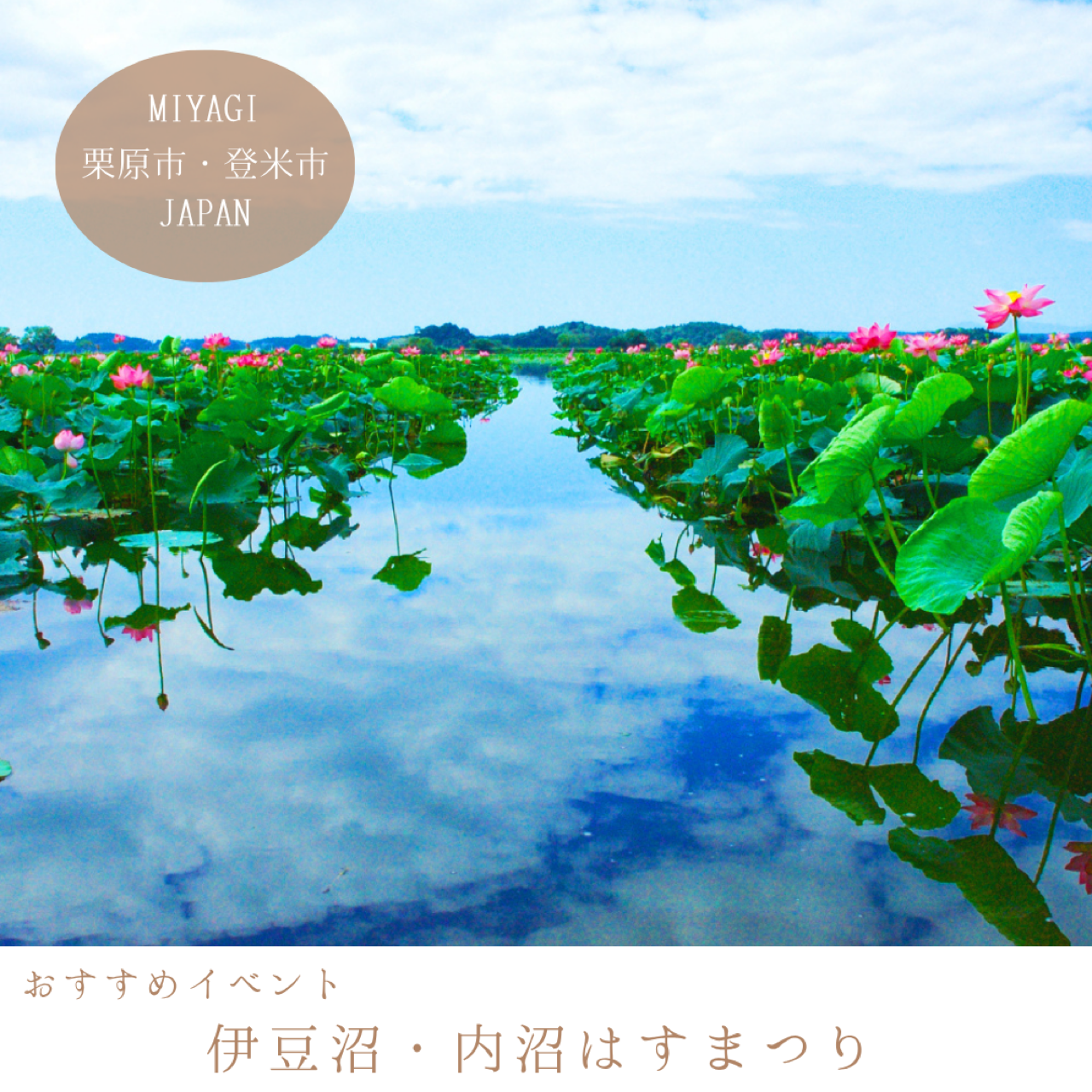 伊豆沼・内沼はすまつり