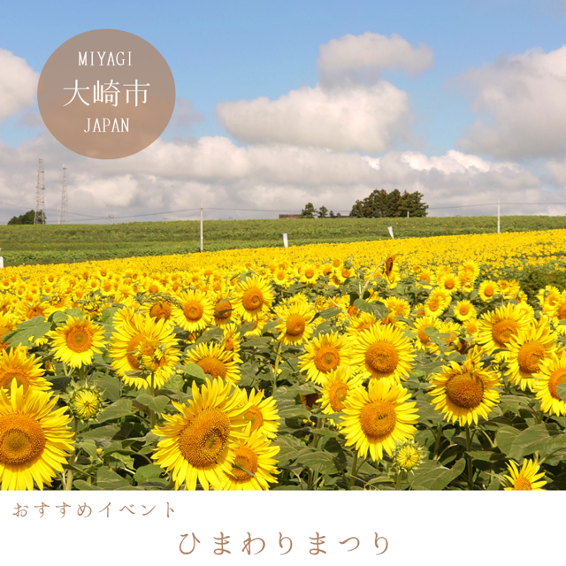 ひまわりまつり