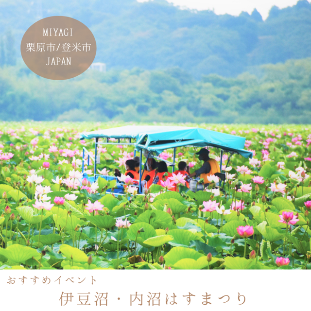 伊豆沼・内沼はすまつり