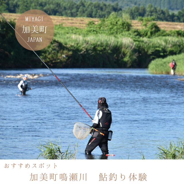 加美町鳴瀬川　鮎釣り体験