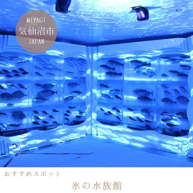 氷の水族館