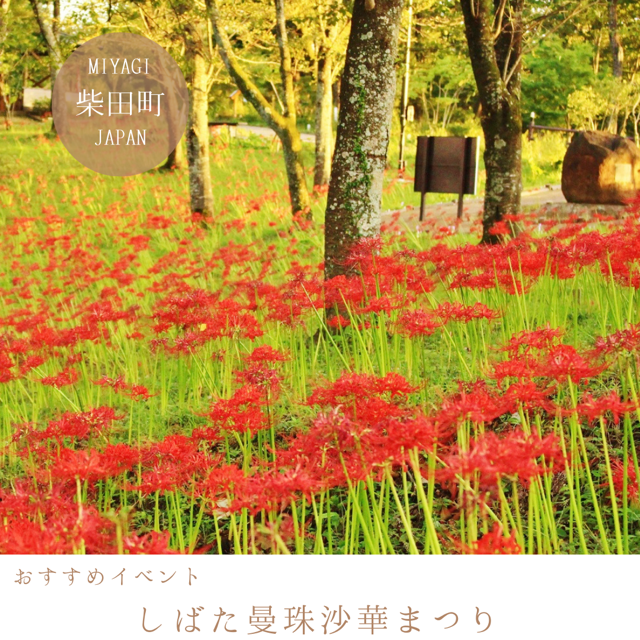 しばた曼殊沙華まつり