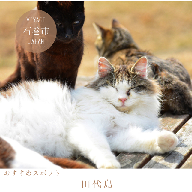 田代島