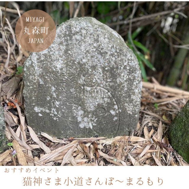 猫神さま小道さんぽ