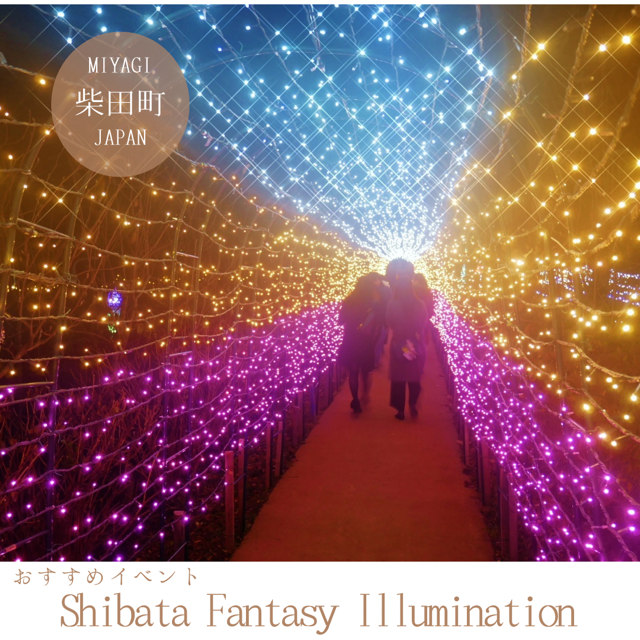 Shibata Fantasy Illumination