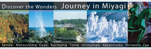 Discover the Wonders Journey in Miyagi
