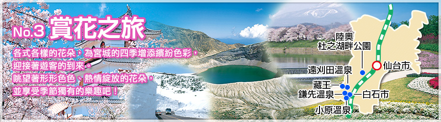 賞花之旅
