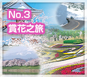 賞花之旅
