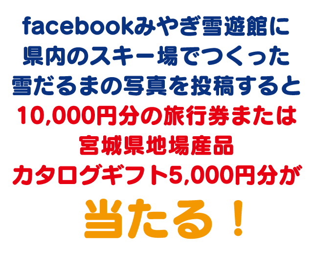 Step1 フラッグをプリントまたはスキー場で入手 フラッグ用の用紙をこのキャンペーンのpcサイトまたは みやぎ雪遊館 のフェイスブックサイトからダウンロードして サイズでプリントしてください または各スキー場のチケット売り場などで